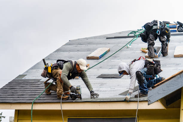 Professional Gutter Installation technician working in Gracey, KY